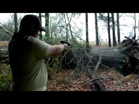 Hi-Point 10mm - a decent gun