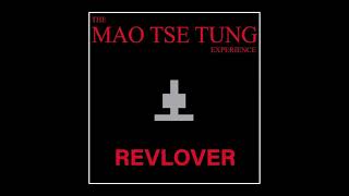 The Mao Tse Tung Experience - Irregular Times
