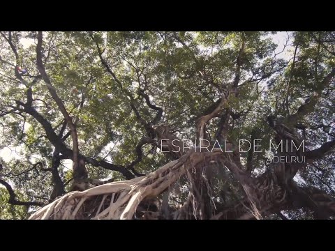Adelrui - Espiral de mim (Acústico)