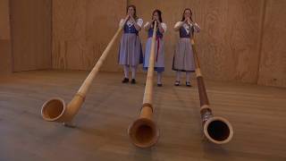 Alphorn, Jodeling, Swiss Akkordeon / Solo, Duo or Trio