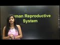 Madhu Singh History Classes Madhu Singh Teacher Youtube Madhu Singh Madhu Madam History Classes