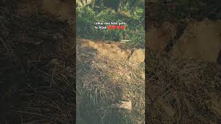 Download lagu #quotes #katakatabijak #katakata #status #shorts #story #fyp #viral mp3 Download lagu #quotes #katakatabijak #katakata #status #shorts #story #fyp #viral mp3
