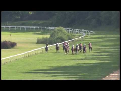 KV, 18. 6. 2017, 7. dostih - Cena společnosti REALISTIC a.s.