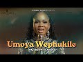 Umoya Wephukile 💔 | (My Spirit is broken), Heal Me Lord | Ndebele/Zulu & English Gospel Lyric Video