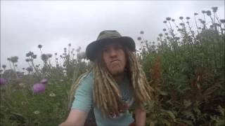 TAKINS SNIKAT - I Like The Way I AM