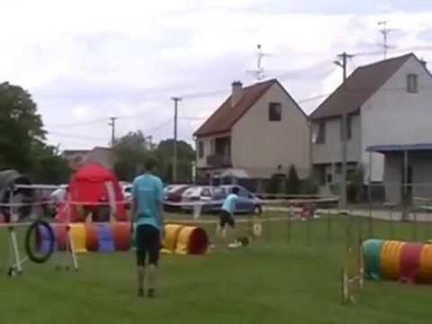 Sedlec u Mikulova 30.5.2015 Darinka