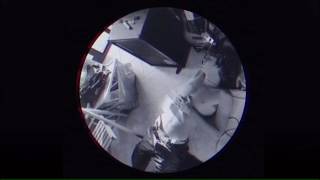 Sempreverde - Uomo a terra (Audio)