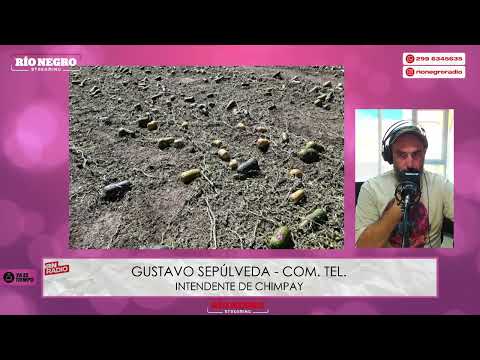 Gustavo Sepúlveda, Intendente de Chimpay por fuerte temporal. En Ya es tiempo 18.03.26