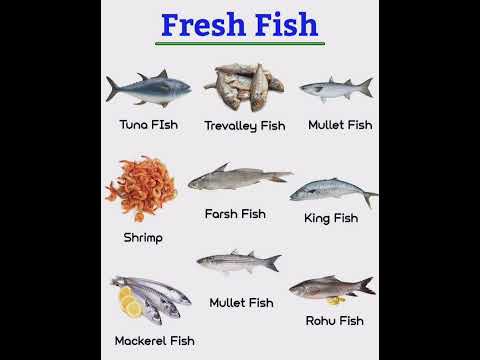 Fish Names in English and Hindi | Tuna, Rohu, King Fish, Shrimp, Mackerel & More | #Shorts