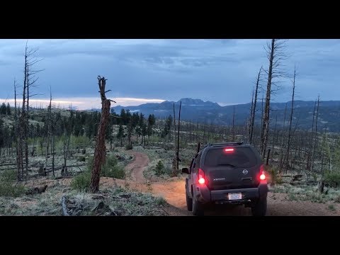 Turkey Track Road. Westcreek, CO. Solo. #42