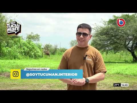 #SoyTucumán En la Comuna de El Naranjito, departamento Cruz Alta. Canal 10