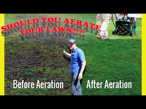 Should You do an Aeration??!?! Do you Need to Aerate Sandy Soil and Saint Augustine Grass?!?!