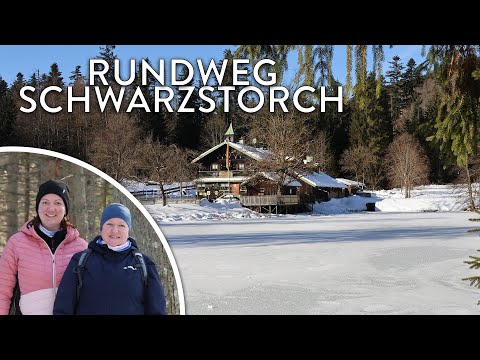Winterliches ❄️ Schwellhäusl 🍻 und Urwaldgebiet 🌲 Watzlik-Hain - Touren-Tipp 🥾 im Nationalpark