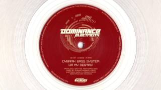 Dynamik Bass System - UR My Destiny (808 electrofunk)