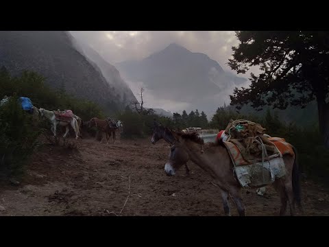 Upper Dolpo  trekking nepal || Shey-phoksundo ||