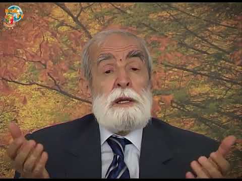 Mutluluk Bir Uyum Halidir | İmam İskender Ali MİHR