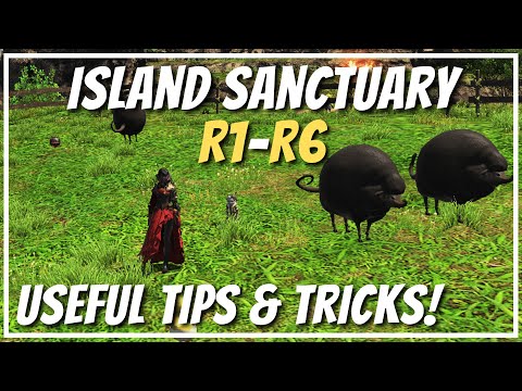 Island Sanctuary R1-R6 guide: useful TIPS & TRICKS!