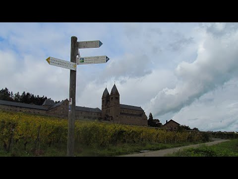 Rheinsteig Stage 18 Oestrich Winkel Rüdesheim