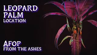 Leopard Palm Location • AFOP From the Ashes