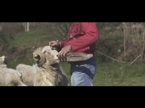 Rebeliom do Inframundo - Bang Bang