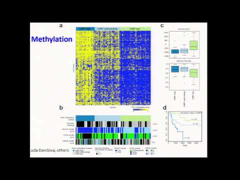 Comprehensive Pan-Genomic Characterization of Adrenocortical Carcinoma - Tom Giordano