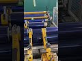 Riproduci video