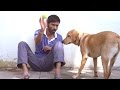 Raghuvaran B Tech Raghu Waiting For Shalini Dhanush Amala Paul