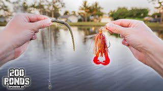 Are Slow Lures BETTER Than Fast Lures For Winter Fishing? (200 Ponds Ep. 10)