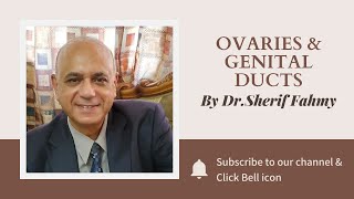 Dr. Sherif Fahmy - Ovaries & Genital ducts