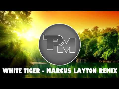 White Tiger - Marcus Layton Remix
