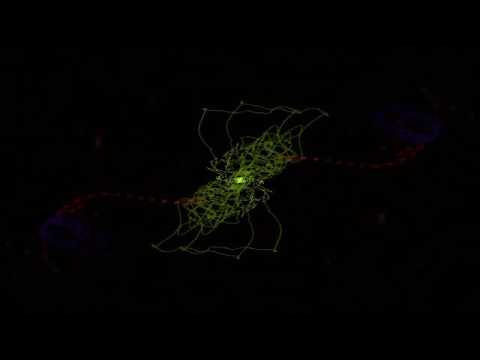 DOUBLE'NN feat GENGISKAN - Guerilla ( Official Audio )