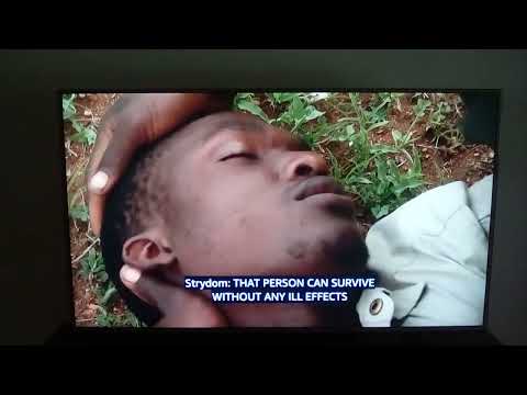 Nature's deadliest:Venomous snakes of Africa