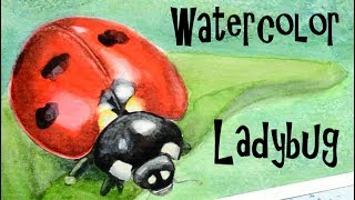 Painting a Watercolor Ladybug with Winsor & Newton Watercolors Demonstration
