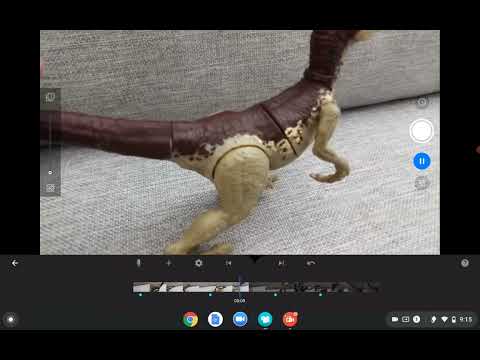 Velociraptor Hunting Gallimimus