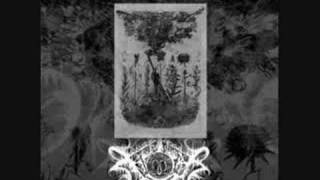 Xasthur - Screaming at Forgotten Fears