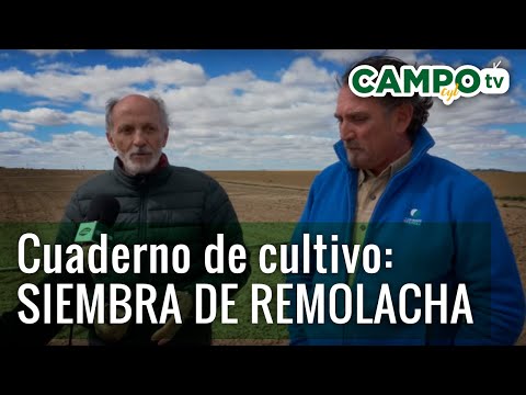 , title : 'Directo al Campo 02 - Cuaderno de cultivo: siembra de remolacha #ad'