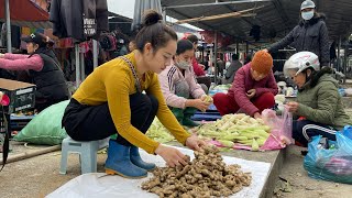 Go to the market to sell ginger. Harvest corn on the farm