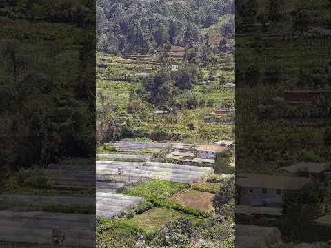 Carretera De Tejutla A San Marcos, Guatemala. (03) (25/Octubre/2025)