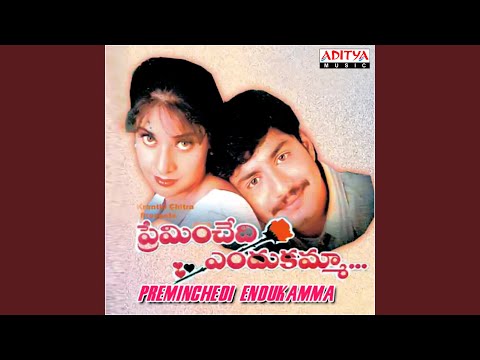 Chinni Padala — watch video