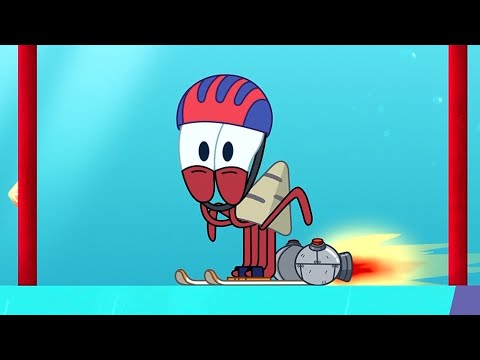 EXTREME SPORT | NEW The Adventures of Bernie | Zig & Sharko - Cartoons for Kids