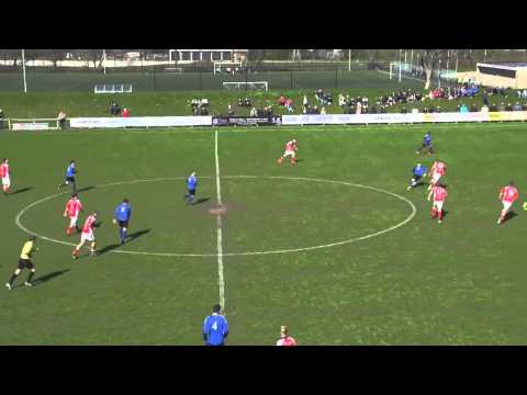 Leeuwarder Zwaluwen - Oeverzwaluwen