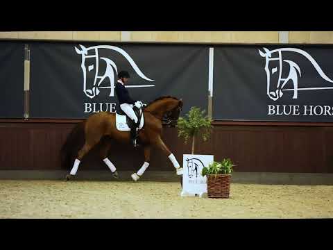 Blue Hors Baron