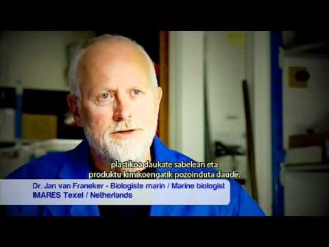 download lagu mp3 mp4 Ureko, download lagu Ureko gratis, unduh video klip Ureko