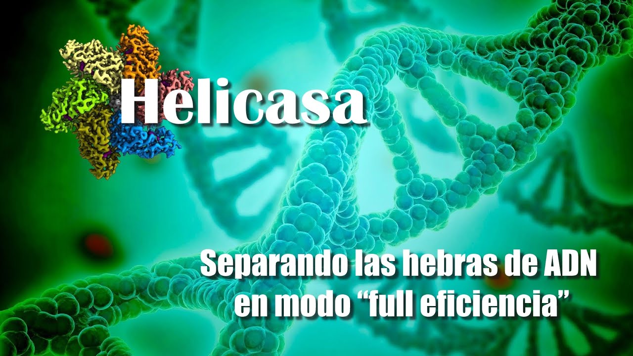 Video destacado thumbnail