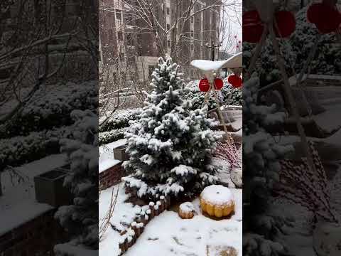 It s the last snow of this winter#Ideal Home#A cozy little nest