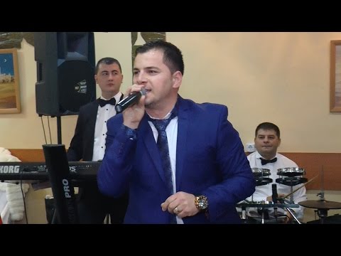 04 Revelion Dunarea Albastra 2015 - Lucian Cojocaru * LIVE * (cover)