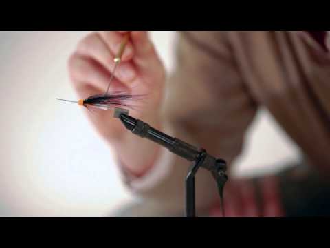 Oranssimusta putkiperho -esittely