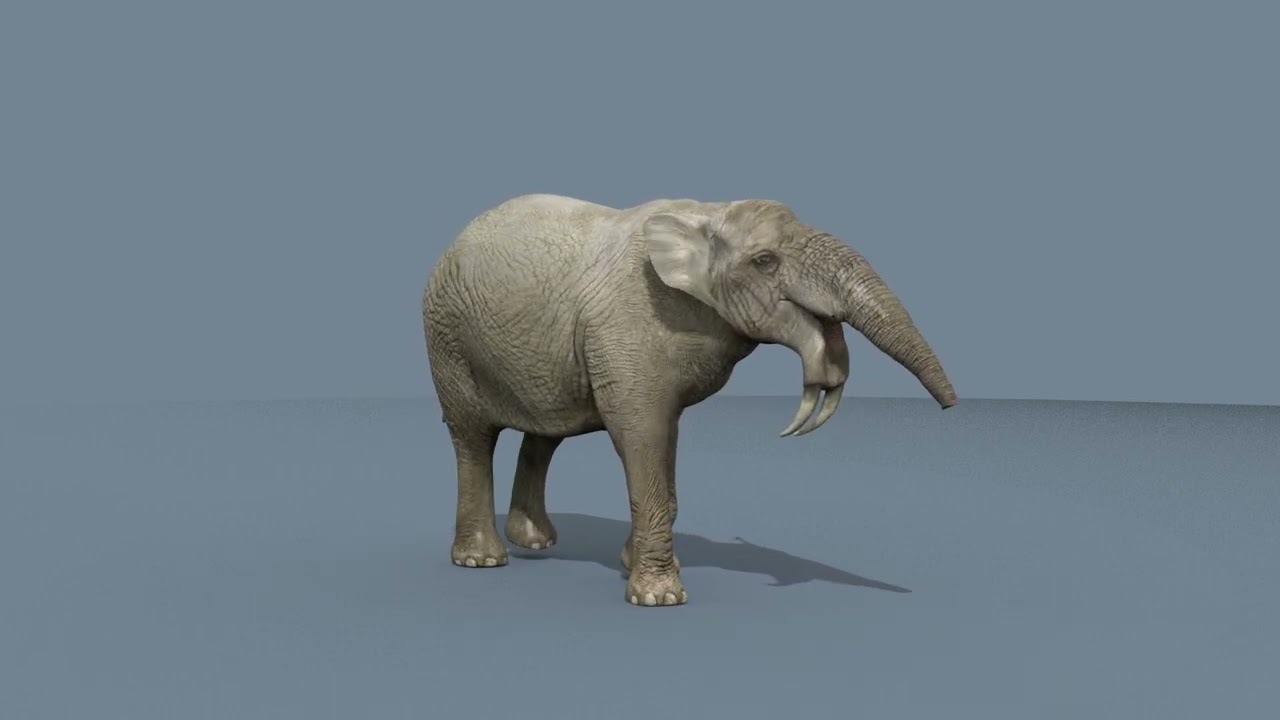 Deinotherium Thraceiensis HD - animazione 3D Modello 3D