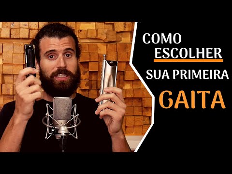 WHICH HARMONICA SHOULD I START WITH: Diatonic or Chromatic? Which is the best harmonica for a beg...