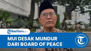 Waketum MUI Cholil Nafis: Indonesia Tak Ragu Tinggalkan Cholil Nafis jika Tak Sejalan